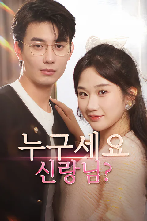 누구세요 신랑님? 포스터