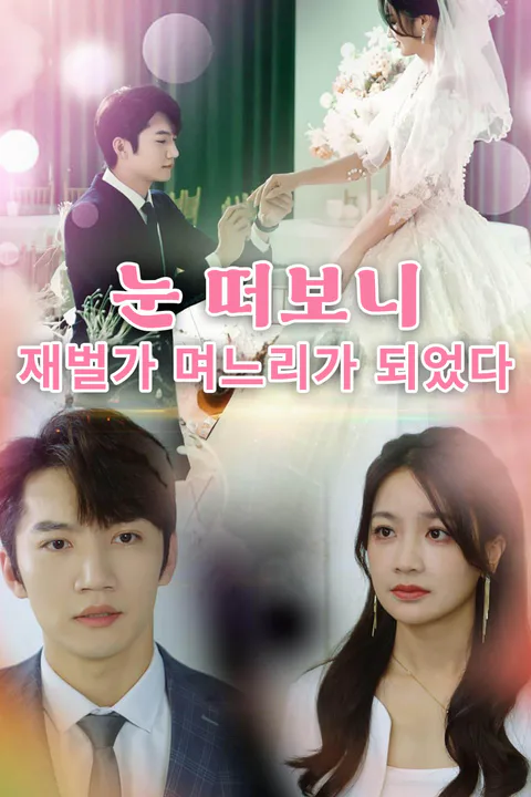 눈 떠보니 재벌가 며느리가 되었다 포스터