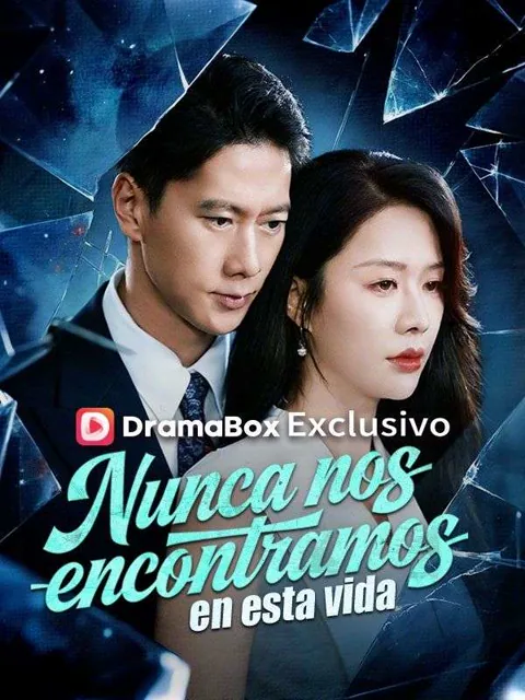 Póster de Nunca nos encontramos en esta vida (Doblado)