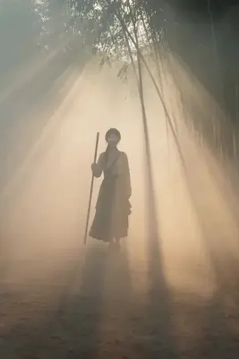 눈먼 태자비는 기운을 본다 포스터