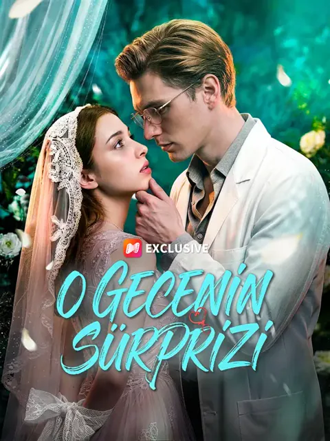 O Gecenin Sürprizi afişi