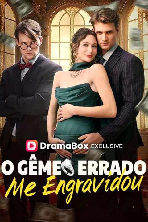 Pôster de O Gêmeo Errado Me Engravidou