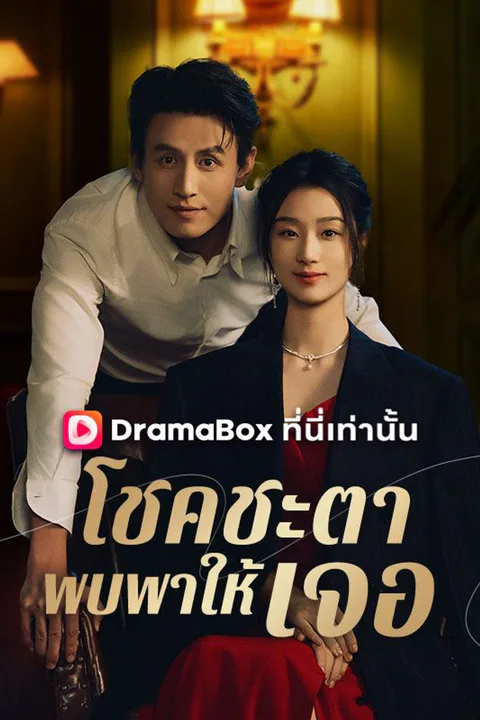 โปสเตอร์ โชคชะตาพบพาให้เจอ (พากย์เสียง)