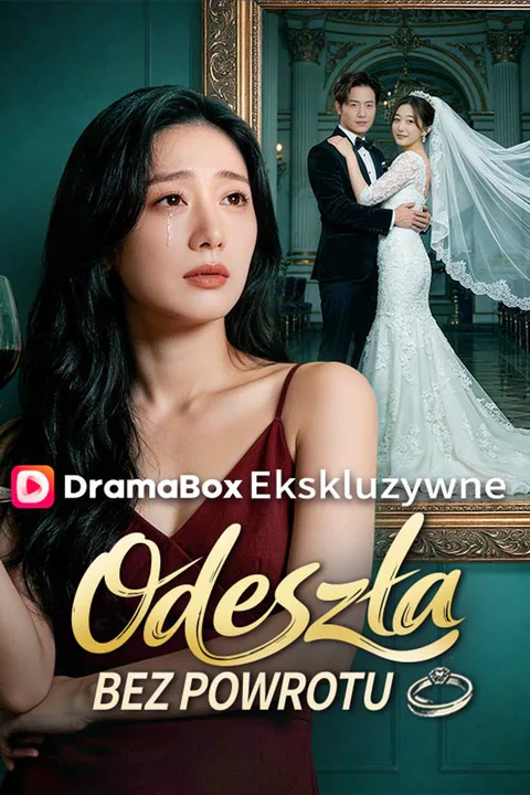 Odeszła bez powrotu – plakat