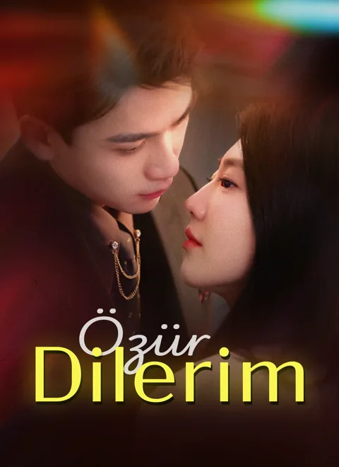 Özür Dilerim afişi