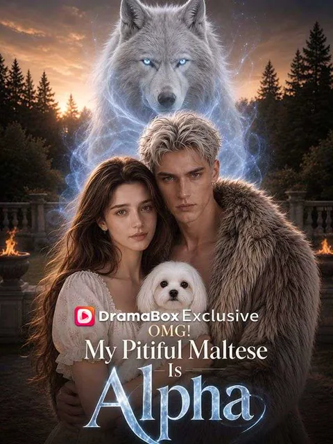 OMG! My Pitiful Maltese Is Alpha poster