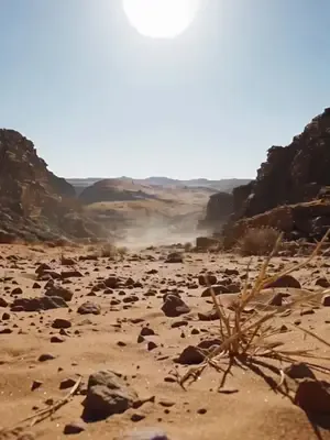 On yaşlı kovboyun mirası afişi