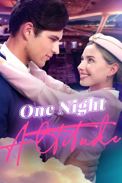 One Night Altitude poster