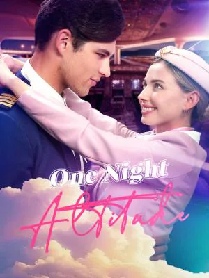 One Night Altitude poster