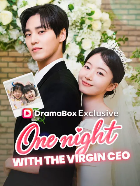 One Night With the Virgin CEO (DUBBED) poster