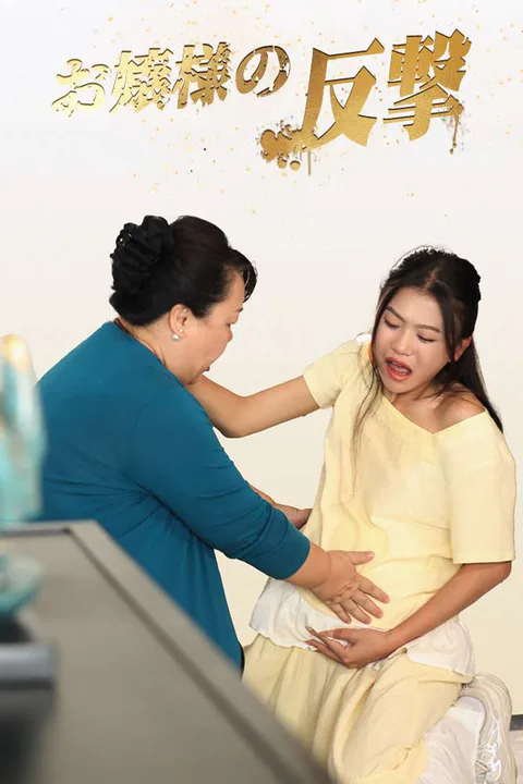お嬢様の反撃のポスター