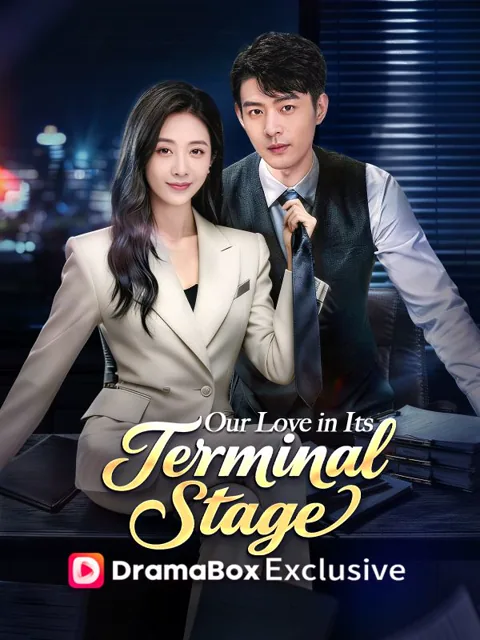 Our Love in Its Terminal Stage poster