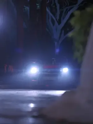 Özel asistanım köy çocuğu afişi