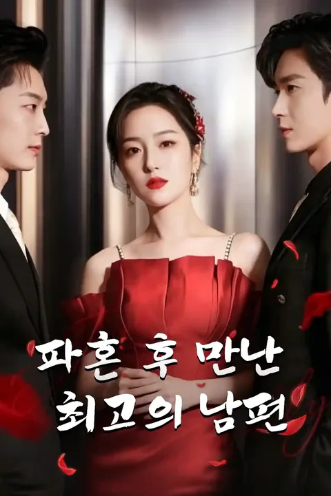 파혼 후 만난 최고의 남편 포스터