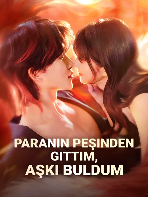 Paranın Peşinden Gittim, Aşkı Buldum afişi