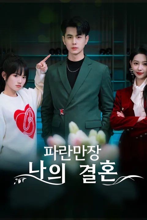 파란만장 나의 결혼 포스터