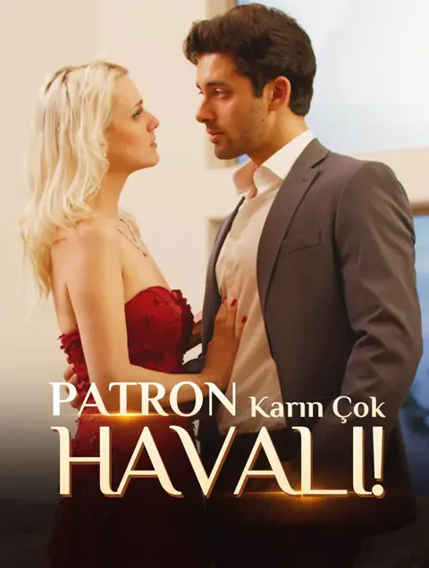 Patron, Karın Çok Havalı! afişi