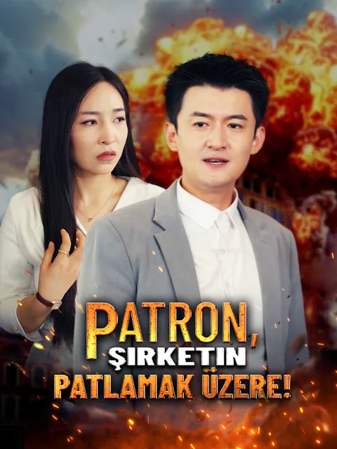 Patron, Şirketin Patlamak Üzere! afişi