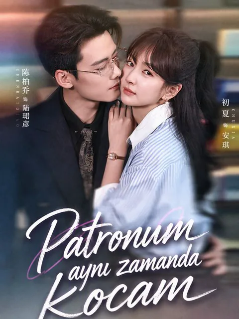 Patronum aynı zamanda kocam afişi
