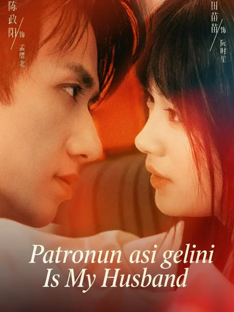 Patronun asi gelini afişi