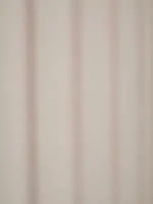 Patronun kızı afişi