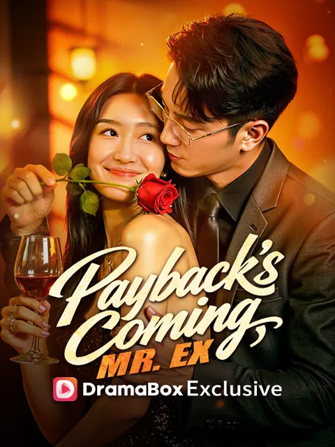 Payback's Coming, Mr. Ex (DUBBED) poster