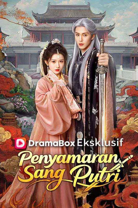 Poster Penyamaran Sang Putri