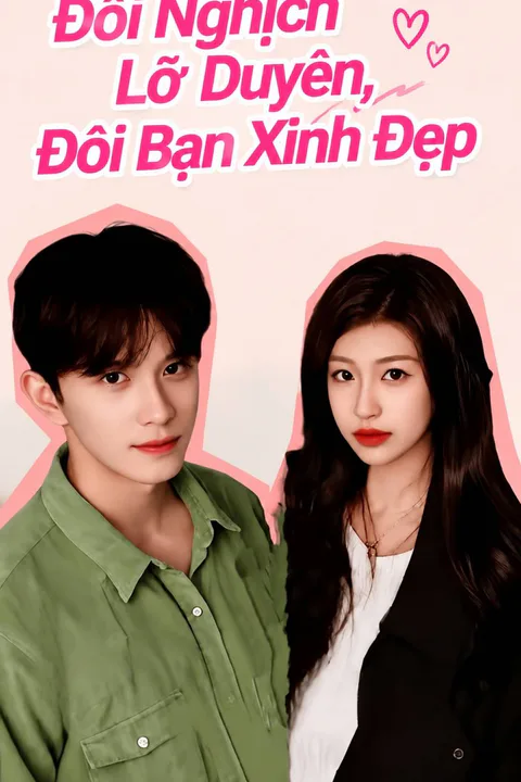 Perfect Mismatch: Lovely Partners poster