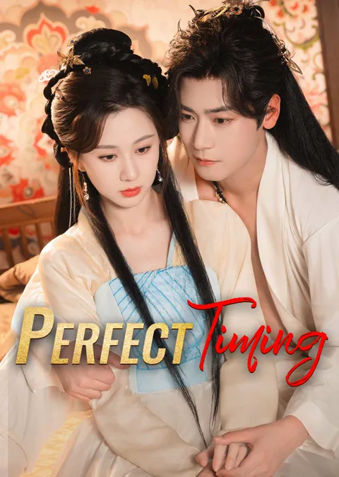Perfect Timing poster