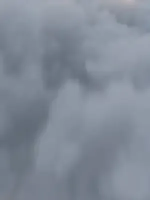 Peri kızın saray sınavı afişi