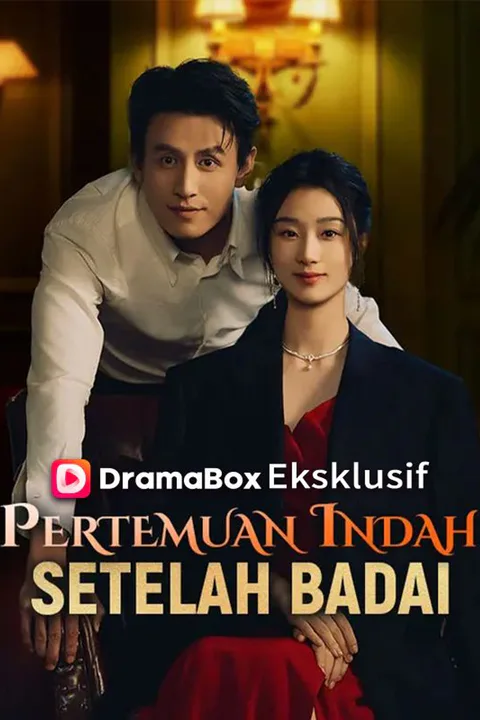 Poster Pertemuan Indah Setelah Badai (Sulih Suara)