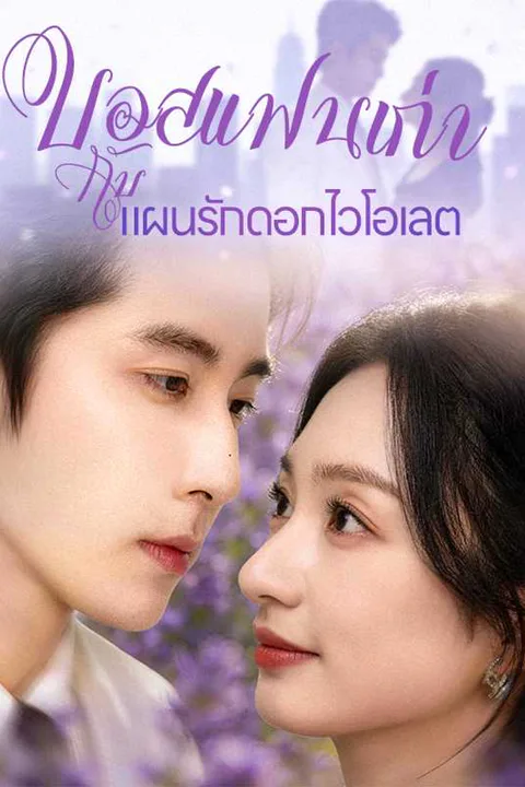 โปสเตอร์ บอสแฟนเก่ากับแผนรักดอกไวโอเลต