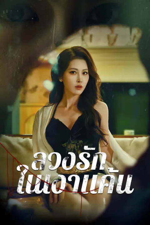 โปสเตอร์ ลวงรักในเงาแค้น (พากย์เสียง)