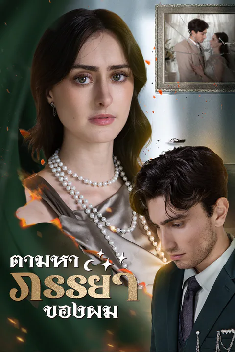 โปสเตอร์ ตามหาภรรยาของผม