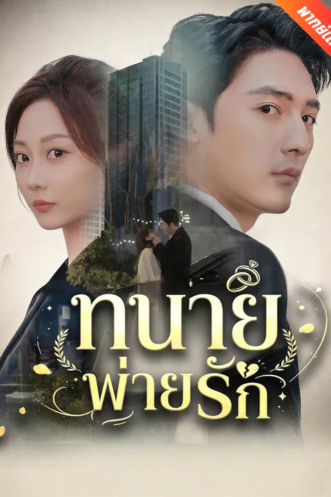 โปสเตอร์ ทนายพ่ายรัก