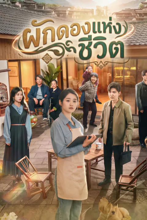 โปสเตอร์ ผักดองแห่งชีวิต