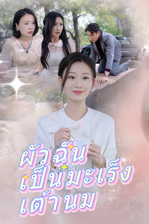 โปสเตอร์ ผัวฉันเป็นมะเร็งเต้านม