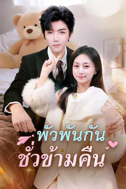 โปสเตอร์ พัวพันกันชั่วข้ามคืน