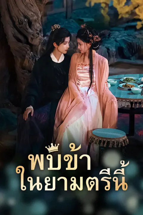 โปสเตอร์ พบข้าในยามตรีนี้