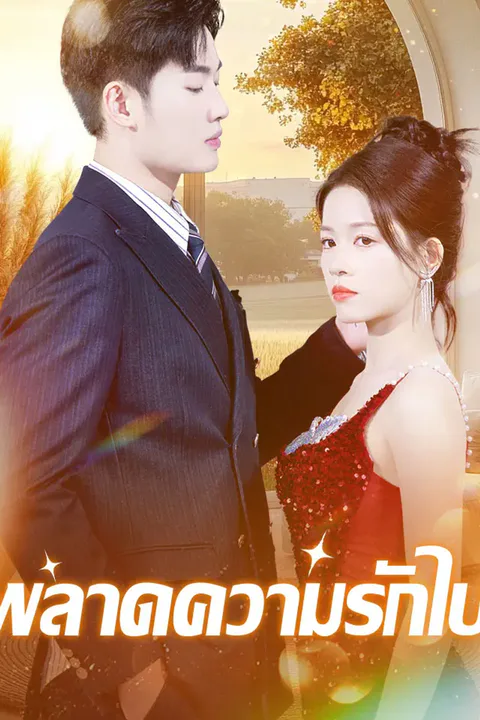 โปสเตอร์ พลาดความรักไป