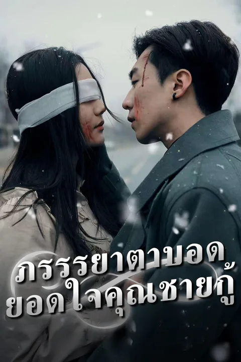 โปสเตอร์ ภรรรยาตาบอด ยอดใจคุณชายกู้