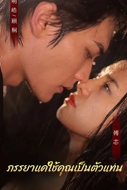 โปสเตอร์ ภรรยาแค่ใช้คุณเป็นตัวแทน