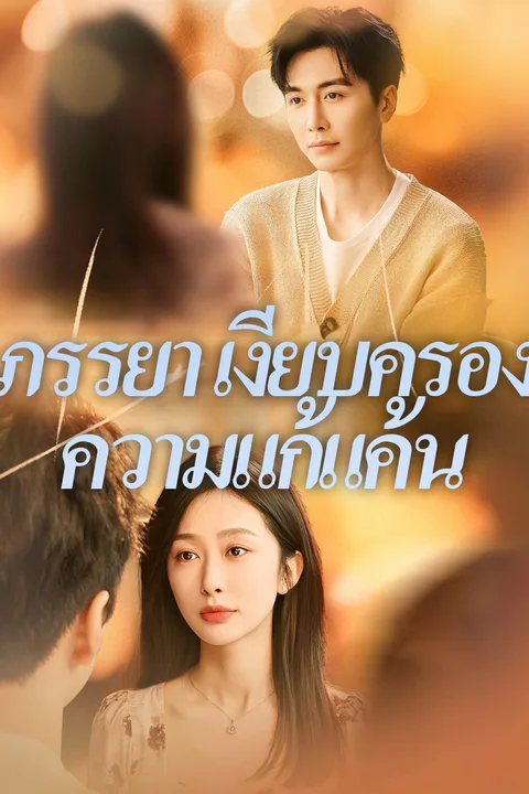 โปสเตอร์ ภรรยาเงียบครองความแก้แค้น