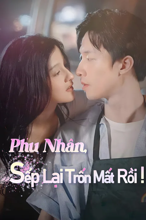 Poster Phu Nhân, Sếp Lại Trốn Mất Rồi!