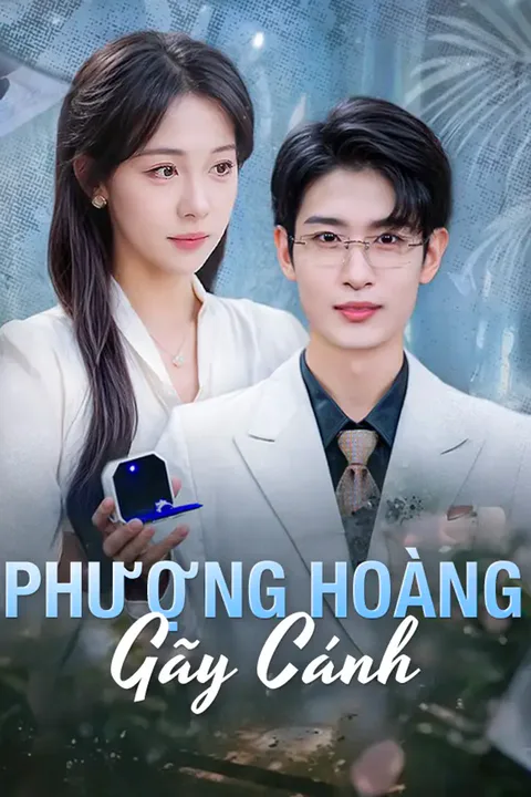 Poster Phượng Hoàng Gãy Cánh