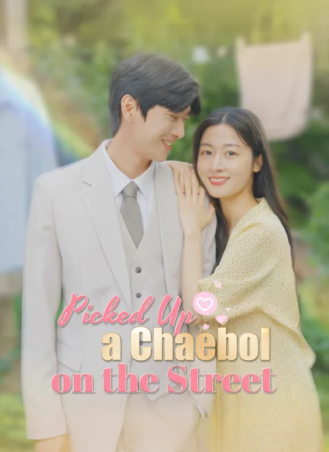 Picked Up a Chaebol on the Street poster
