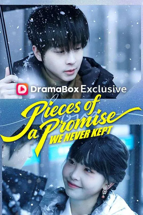 Pieces of a Promise We Never Kept poster
