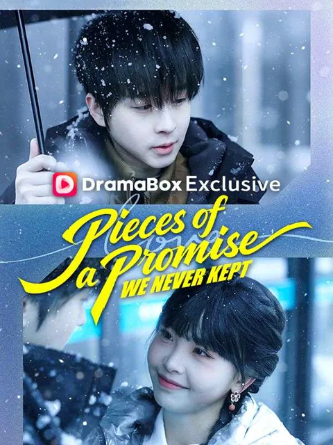 Pieces of a Promise We Never Kept poster