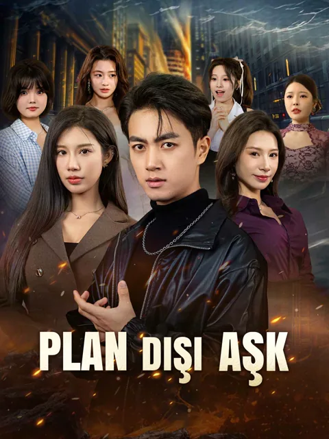 PLAN DIŞI AŞK afişi