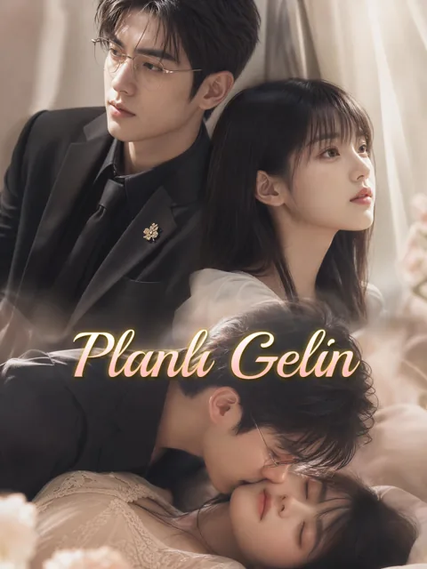 Planlı Gelin afişi